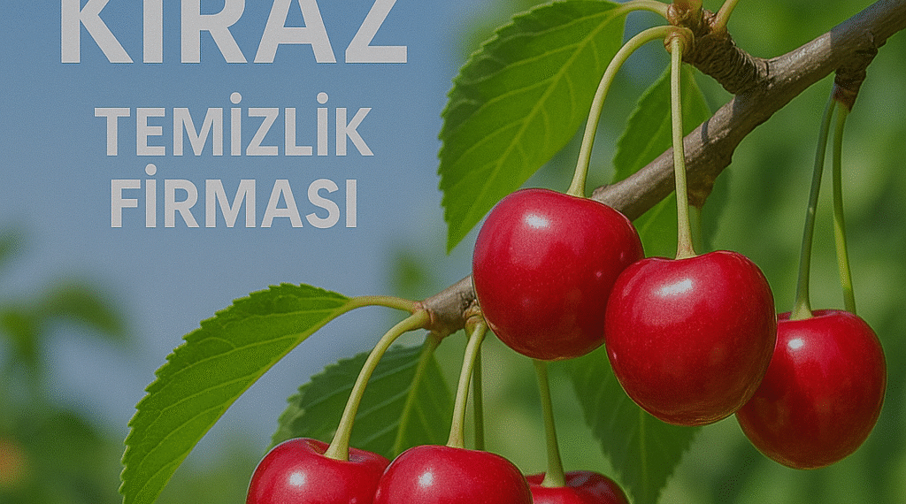 Kiraz Temizlik Firması ile Tertemiz Yaşam